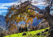 48 Bei colori autunnali